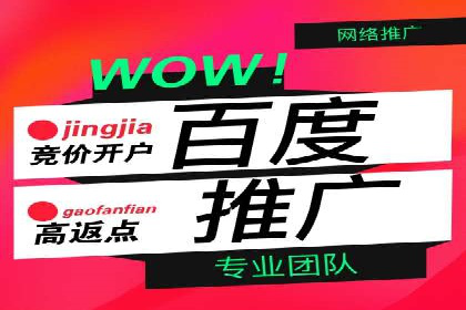 SEM广告的精准定向技巧与成功案例解析
